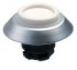 Schmersal NDTWS Series White Illuminated Momentary Push Button, 22.3mm Cutout, IP67, IP69K