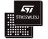 STMicroelectronics STM32WL55JCI7, 32bit ARM Cortex M0+, ARM Cortex M4 Wireless Microcontroller, STM32WL, 48MHz, 256 kB