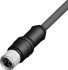 RS PRO Straight Female 4 way M8 to Unterminated Sensor Actuator Cable, 2m
