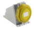 RS PRO IP67 Yellow Wall Mount 2P + E Industrial Power Socket, Rated At 16A, 100 → 130 V