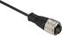 Schneider Electric XZ Straight Female 7/8 in to Free End Sensor Actuator Cable, 3 Core, 5m