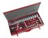 SAM 49-Piece Metric 1/2 in Deep Socket/Standard Socket Set with Ratchet, 12 point