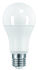 SHOT E27 GLS LED Bulb 19 W(150W), 4000K, Cool White, Bulb shape