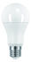 SHOT E27 GLS LED Bulb 13.2 W(100W), 6500K, Daylight, Bulb shape
