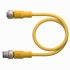 Turck Straight Female 8 way M12 to Straight Male M12 Sensor Actuator Cable, 5m