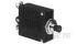 TE Connectivity Potter & Brumfield W54 Thermisch-magnetische Schutzschalter, 1-polig, 5A, 250V ac