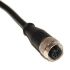 Mueller Electric Straight Female M12 to Unterminated Sensor Actuator Cable, 5m