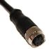 Mueller Electric Straight Female M12 to Unterminated Sensor Actuator Cable, 1m