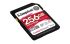 Kingston 256 GB Industrial SDXC SD Card, Class 10, UHS-II, U3, V90