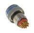 Amphenol India 33-Polet Cirkulær konnektor Receptacle, Socket Contacts, MS3475W8-33S-LC