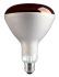 SHOT E27 GLS Incandescent Light Bulb, Red, 220 - 240 V, 1500h
