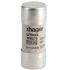 Hager 100A Cartridge Fuse, 22.2 x 58mm