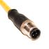 Mueller Electric C4A05 Serien 4 leder M12 til Utermineret Sensor/aktuatorkabel, 5m kabel