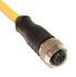 Mueller Electric Straight Female M12 to Unterminated Sensor Actuator Cable, 5m