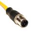Mueller Electric Straight Male M12 to Unterminated Sensor Actuator Cable, 5m