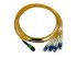Molex 八芯单模光纤, 3m长, MPO转LC x 4, Φ9/125μm线芯, 885366803