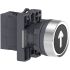 Schneider Electric - Easy Series XA2 Series Illuminated Push Button Switch, NO, 1 NO Slow-break, Black LED, 240V, IP65