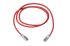 Amphenol Industrial Cat6a RJ45 to RJ45 Ethernet Cable, S/FTP, Red, 10m