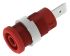 Electro PJP Red Female Banana Socket, 4 mm Connector, Tab Termination, 36A, 1kV