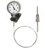 WIKA Dial Thermometer 0 → 100 °C, 48788680