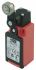 RS PRO Roller Lever Limit Switch, 1NO/1NC, IP67, SPDT, Glass Reinforced Plastic (GRP) Housing, 250V ac ac Max, 3A Max