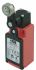 RS PRO Roller Lever Limit Switch, 1NO/1NC, IP67, SPDT, Glass Reinforced Plastic (GRP) Housing, 250V ac ac Max, 3A Max