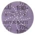 3M 3M Xtract Cubitron II Film Disc 775L Ceramic Sanding Disc, 76.2mm, 180+ Grade, 180+ Grit, Xtract, 50/250 in pack