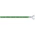 Lapp Cat6a Ethernet Cable, Tinned Copper Braid, Green, 3.05m