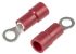 RS PRO Insulated Crimp Ring Terminal, M3 Stud Size, 0.5mm² to 1.5mm² Wire Size, Red
