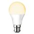 HPM B22 LED Bulbs 5 W(75W), 3000K, Warm White, A60 shape