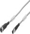 Straight M12 to Straight Male M8 Cable, 2.5m