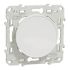 Schneider Electric White Cover Plate Thermoplastic Cover Plate