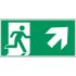 Polyester Emergency Exit Right, None,  With Pictogram Only, Exit Sign