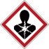 Brady 消防安全标签, 标示'呼吸道危害', 聚酯制, 自粘式, 834187