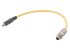 HARTING Straight Male Straight Male 2 way M12 Cable, 20m