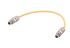 HARTING Straight Male 2 way M12 to Straight Male 2 way M12 Cable, 300mm