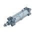 SMC Double Acting Cylinder - 125mm Bore, 160mm Stroke, C96 Series, Double Acting