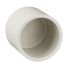 Clipsal Electrical End Cap, Conduit Fitting, 25mm Nominal Size, 25mm, PVC, Grey