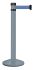 Grey guiding post - 4m blue strap