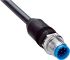 Sick Straight Male 8 way M12 to Connector & Cable, 2m