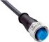 Sick Straight Female 5 way M12 to Unterminated Connector & Cable, 20m