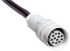 Sick Straight Female 12 way M26 to Unterminated Connector & Cable, 2.5m
