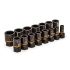 GearWrench 15-Piece Imperial 1/4 in, 3/8 in Standard Socket Set with Ratchet, Extraction