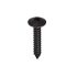 Phosphated Self Tapping Screw