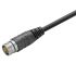 Weidmuller Straight Male 19 way Actuator/Sensor Cable, 1m