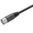 Weidmüller Straight Female 19 way Actuator/Sensor Cable, 5m