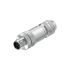Weidmüller Connector, 4 Contacts, Cable, M12 Connector, Plug and Socket, Male and Female Contacts, IP67, SAISM Series