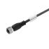 Weidmüller Straight Female 4 way Actuator/Sensor Cable, 5m