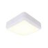 Ansell AALED2 LED Wandleuchte Quadratisch 1300 lm, 220/240 V / 14 W