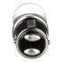 Schneider Electric 透明白炽灯泡, 24 V, BA15d灯座, 用于以及 Harmony XVB、Harmony XVD、Harmony XVP